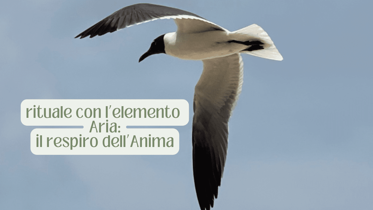 Rituale con l’elemento ARIA: il respiro dell’Anima