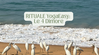 Rituale YogaEasy: Le 4 Dimore – Parte 2